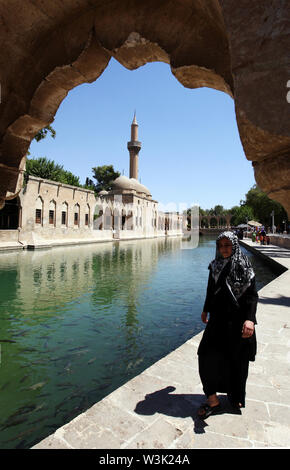 A lady walks next to Balikli Gol (Abraham`s Pool), Golbasi Park in Sanliurfa. In the background stands the magnificent Rizvaniye Vakfi Camii (mosque). Stock Photo